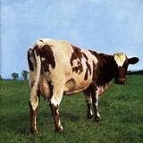 pink-floyd1