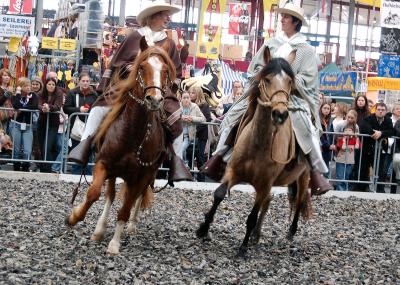 Reitsportmesse_Pasos
