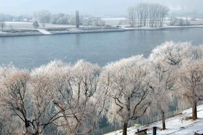 Winterweiss