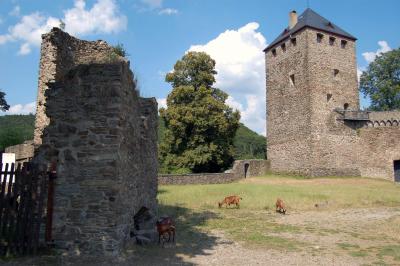 saynburg_zicklein