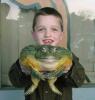 haustier
