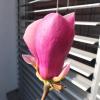 DSCF6224
