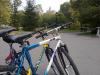 Handy_Bild230