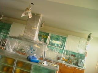 IMAG0790