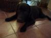 P1060320-640x480-