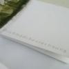 WS_Nokia_N8_1574130x130