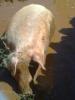 handy_bild021