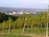 handy_bild127
