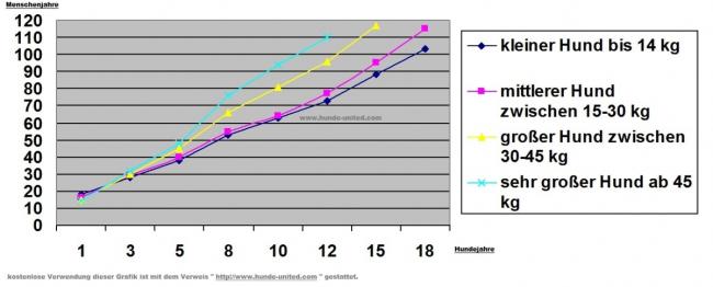 hundejahre