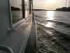 ws_nokia_n8_1057