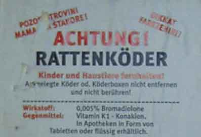 rattenkder