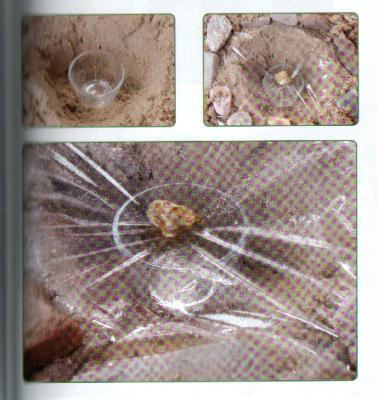 Peter Lustig Buch