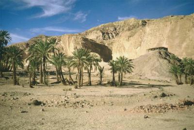 https://www.ferio.de/SI%20Sinai,%20Oase%20Ain%20Hudra.JPG