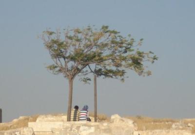 Zwei Menschen und zwei Bäume