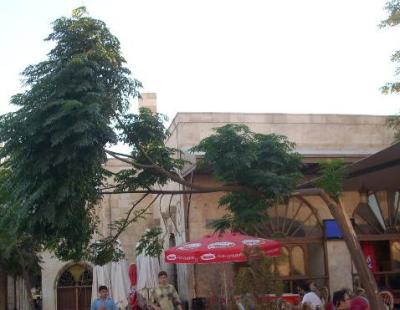 Rechtwinkliger Baum (in Aleppo)