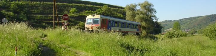 5047 vor Weinberg im Kamptal