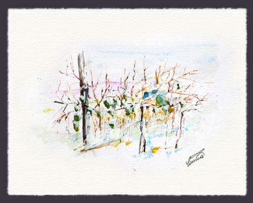 weiden-am-see-winterwein