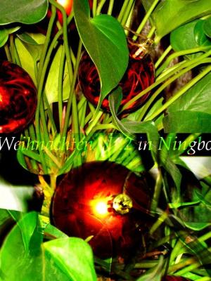 Weihnachten Nr.2 in Ningbo