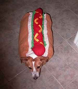 hotdog