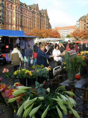 1803569920_a37808597f_z