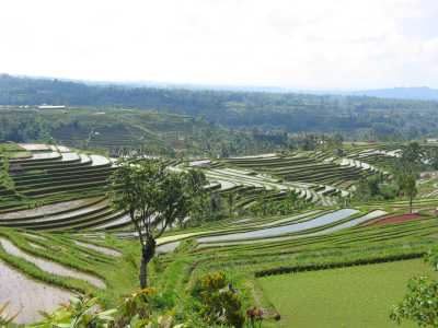 bali_2004_299