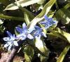 blaublog