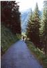 road