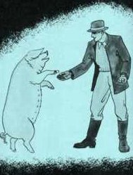 schweinezucht11