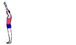 Flickflack2a