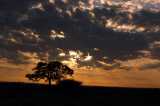Natur