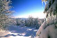 Winter_Traumfoto_200x175