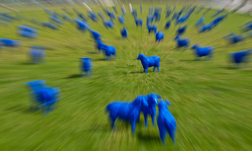 Blaue Schafe auf dem Schlossplatz in Berlin Blaue Schafe auf dem Schlossplatz in Berlin