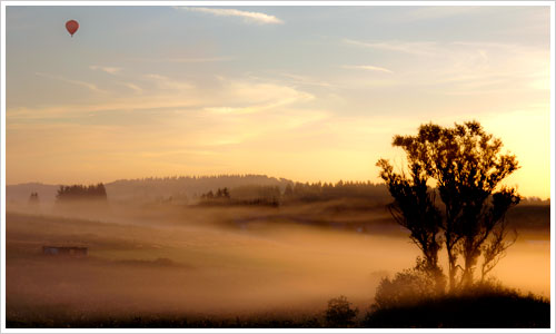 Morgennebel am Bostalsee