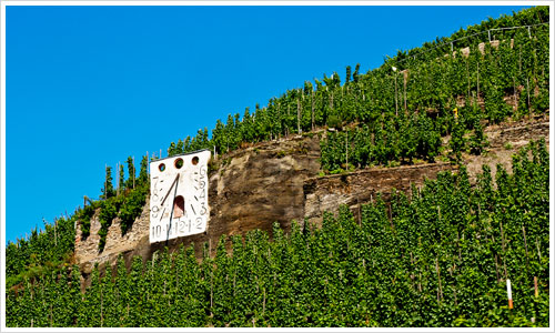 Einen Sonnenuhr im Weinberg an der Mosel