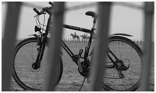 Mein Ex-Fahrrad in der Camargue