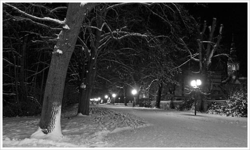 Weg in Greifswald im Schnee