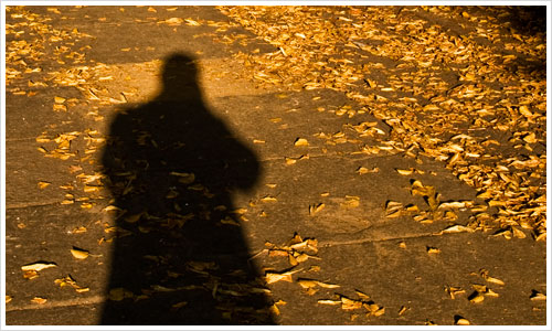 Der lange Schatten des Herbst Der lange Schatten des Herbst