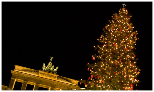 norway_lichterbaum1