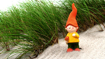 In den Dünen von Zingst