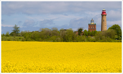Kap Arcona mit Rapsfeld