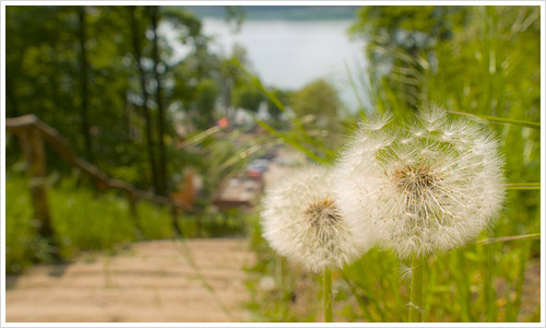 Blick auf den Scharmützelsee