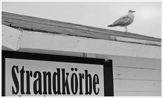 Strandkorbschild mit Möwe
