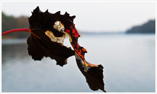 Rot vor blau, Idylle am Wutzsee