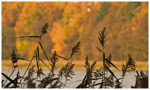Indian Summer in der Mark Brandenburg