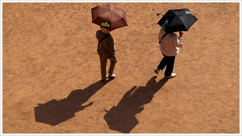 Durch die Wüste, durch den Zwinger