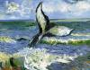 whale-Les-Saintes-Maries-de-la-Mer