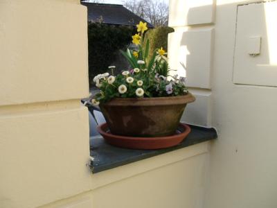 DSC00240