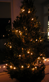 lichtbaum