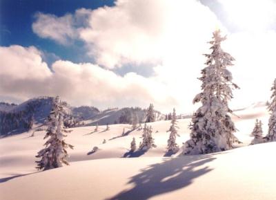winter02g