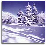 winterwelt_s